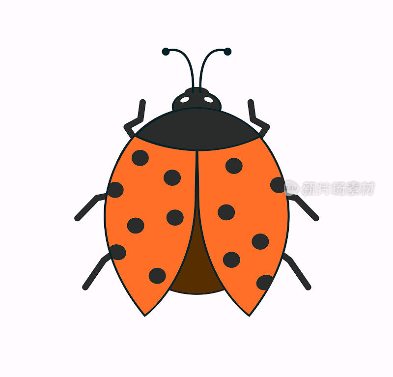 瓢虫或瓢虫矢量图形插图，隔离。黑色和红色瓢虫可爱简单的平面设计。矢量EPS 10。